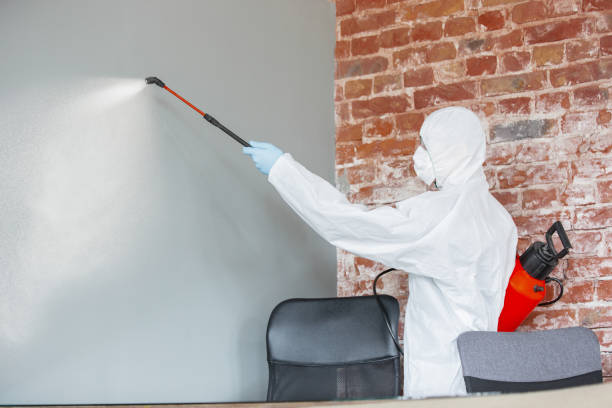 Best Post-Remediation Verification Testing  in Lake Zurich, IL