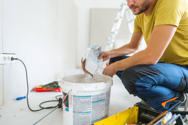 Best Dehumidification Services  in Lake Zurich, IL