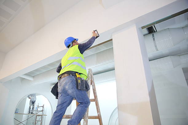 Best Basement Mold Removal  in Lake Zurich, IL