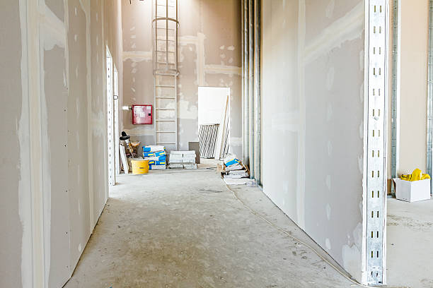 Lake Zurich, IL Mold Removal Company